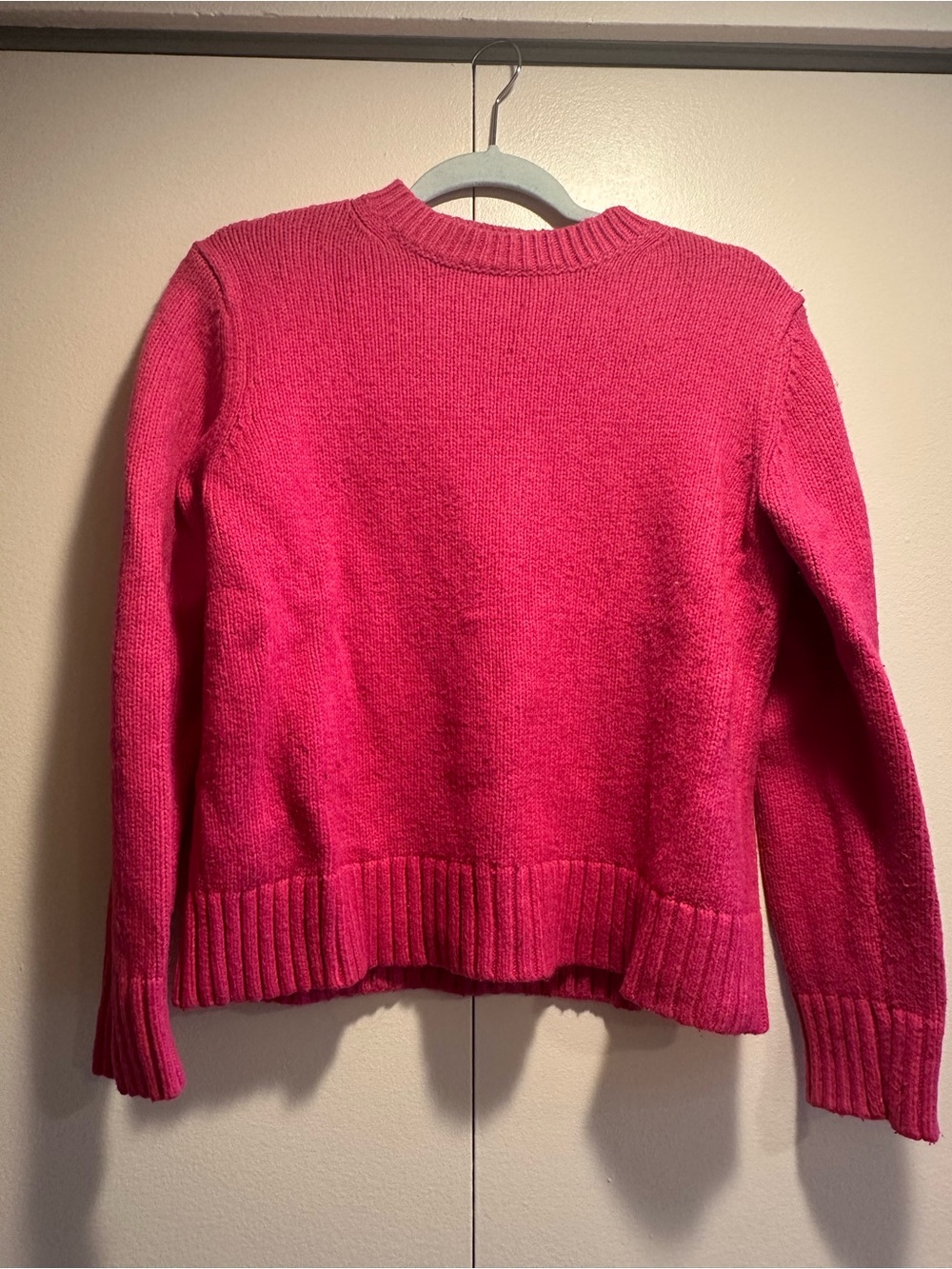 Ann Taylor Hot Pink Crewneck Sweater